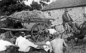 Harvest Lunchwith hay cart